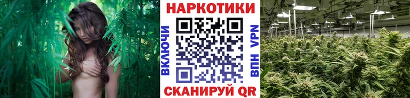 Где продают наркотики Алзамай Альфа ПВП  КОКАИН  ГАШ  Кодеин  Канабис  Мефедрон 