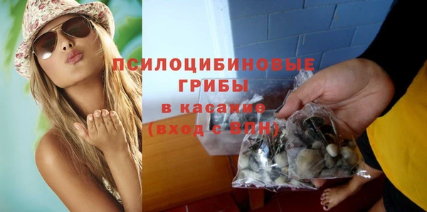 круглые Алексеевка