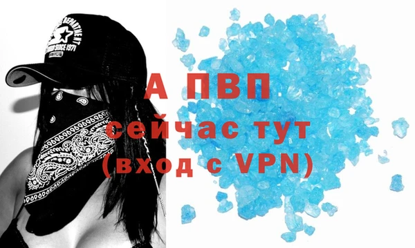 крисы Алексин