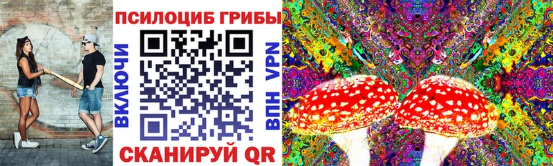 Галлюциногенные грибы GOLDEN TEACHER Алзамай
