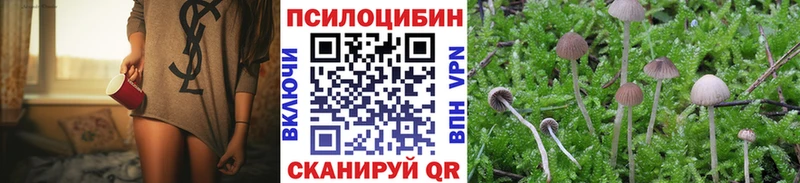 ссылка на мегу ссылки наркота Алзамай Галлюциногенные грибы мицелий