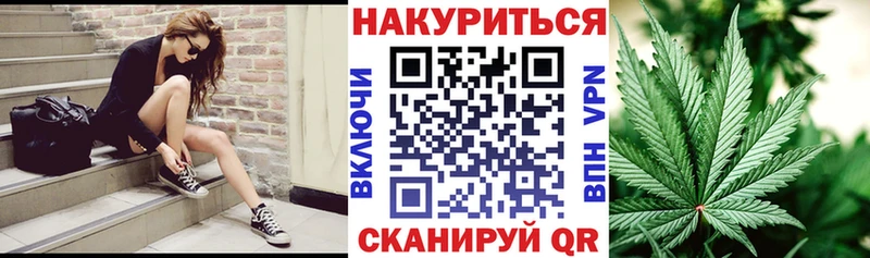 дарнет шоп  mega как зайти  Марихуана планчик  Алзамай 
